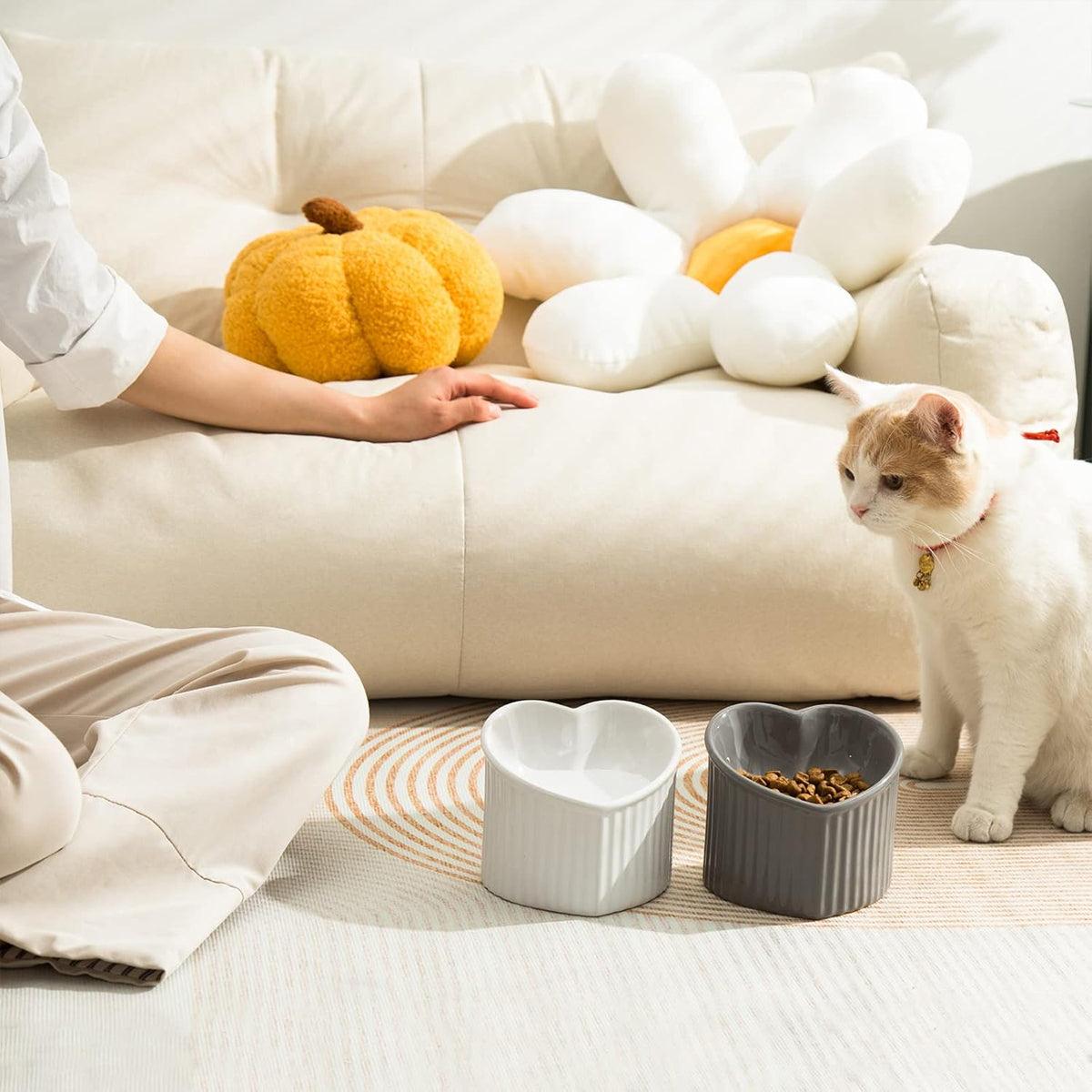 Heart-Shaped Ceramic Pet Bowl Elevated Cat & Small Dog Feeding Dish