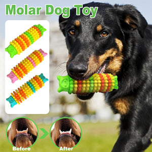 Durable dog chew toy with a bear head and caterpillar shape, designed for dental care and interactive play.