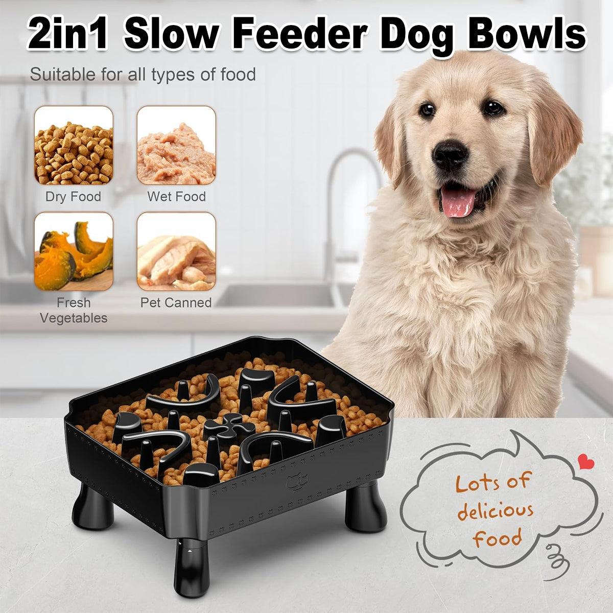 Elevated Slow Feeder Bowl for Pets Large Capacity & Anti-Slip Design