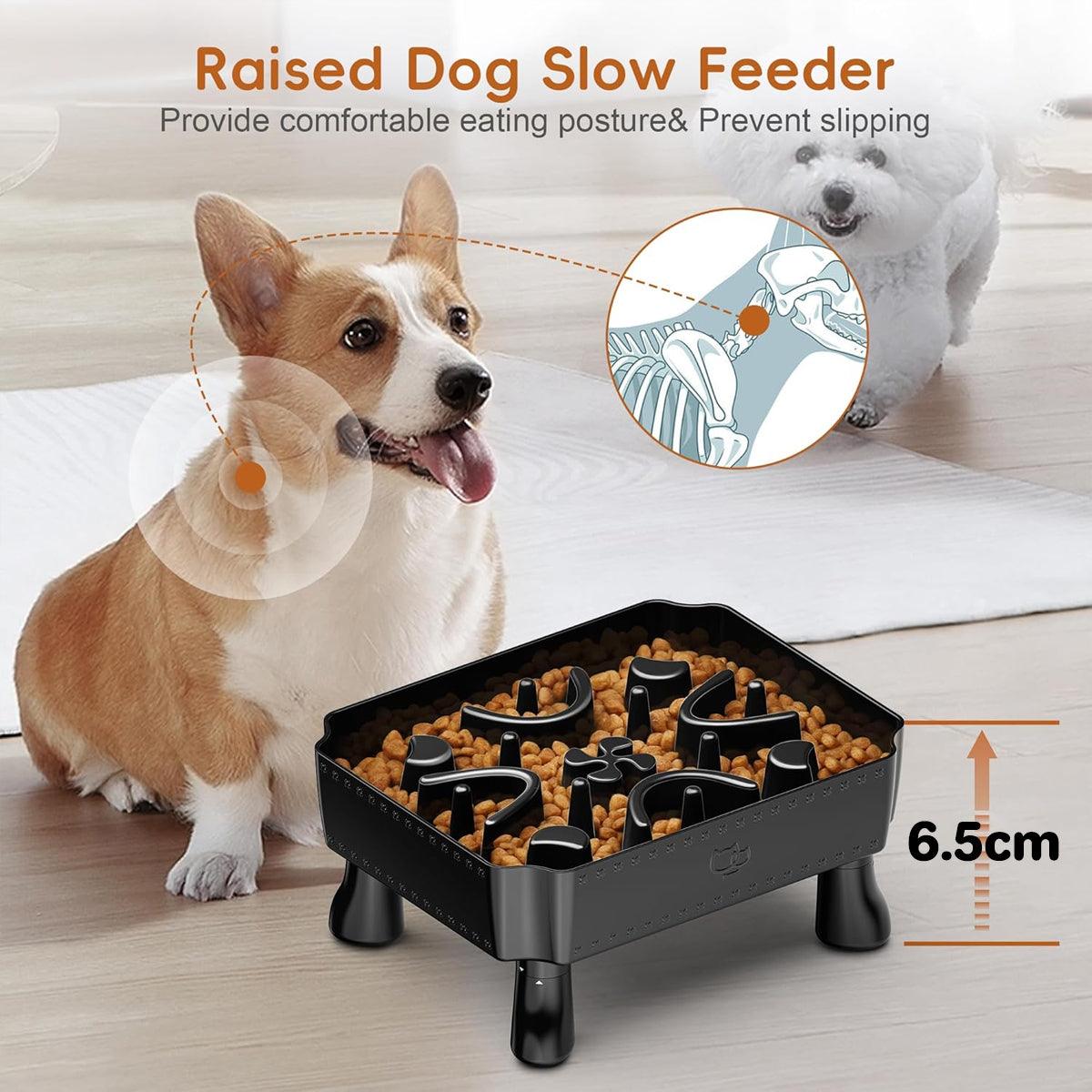 Elevated Slow Feeder Bowl for Pets Large Capacity & Anti-Slip Design