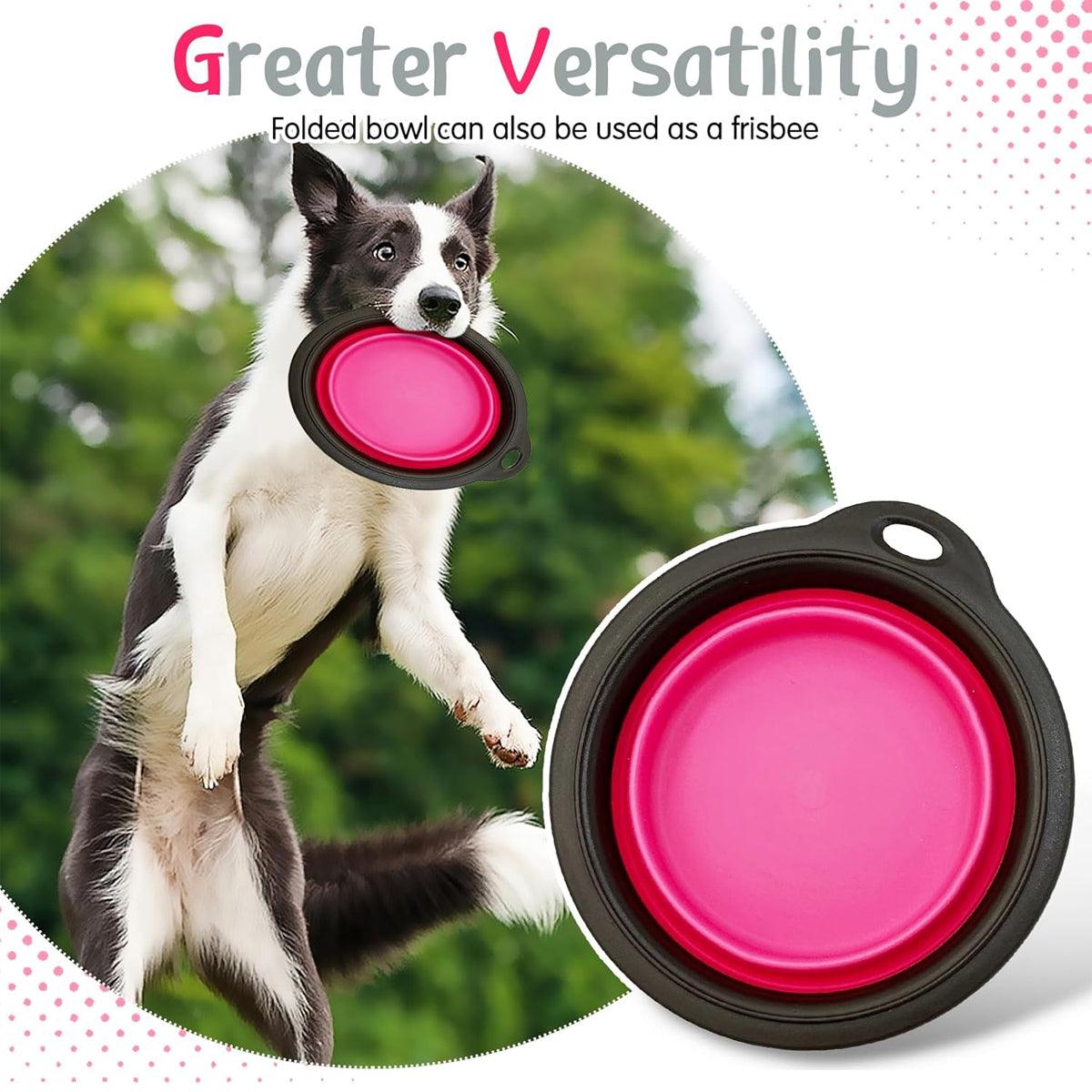 Portable Raised Dog Bowl Collapsible & Non-Slip Pet Feeder