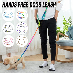 Hands-Free Dog Leash Dog Walking Rope