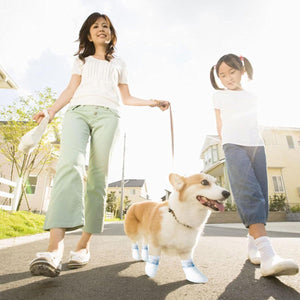 Waterproof Disposable Dog Shoe Covers