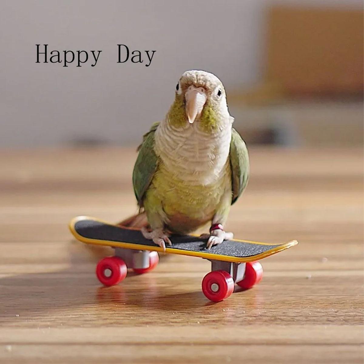 2pcs Parrot Finger Skateboards Set Interactive Mini Scooter for Pets