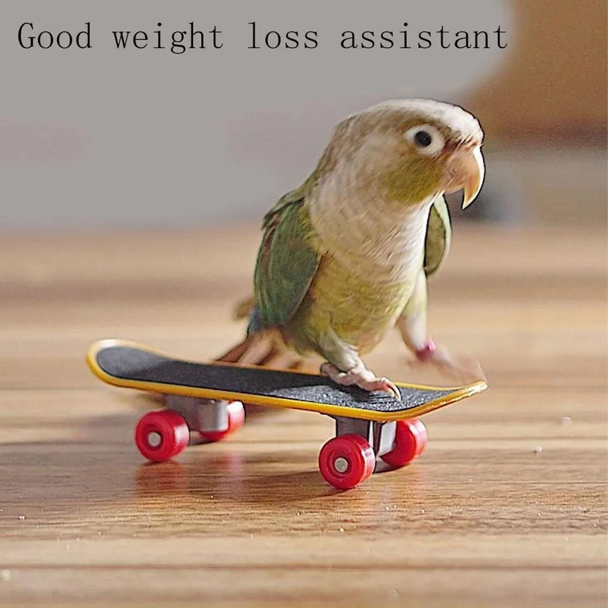 2pcs Parrot Finger Skateboards Set Interactive Mini Scooter for Pets