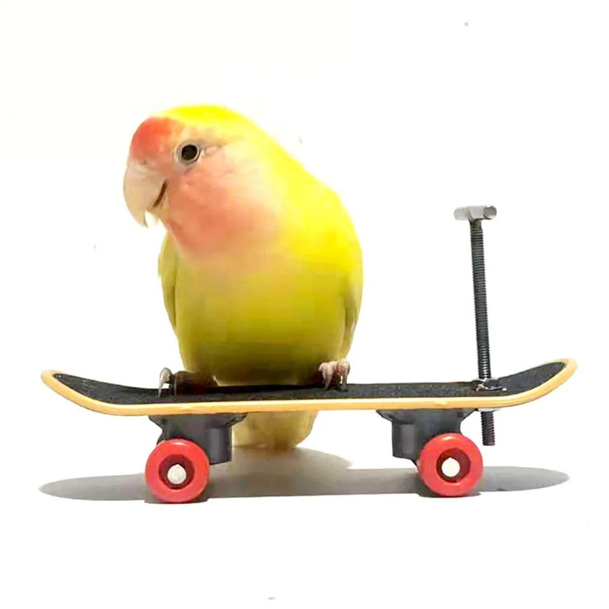 2pcs Parrot Finger Skateboards Set Interactive Mini Scooter for Pets