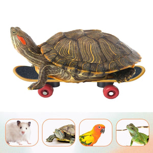 2pcs Parrot Finger Skateboards Set Interactive Mini Scooter for Pets