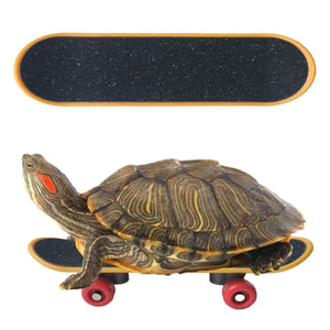 2pcs Parrot Finger Skateboards Set Interactive Mini Scooter for Pets