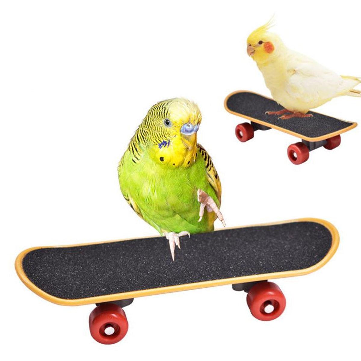 2pcs Parrot Finger Skateboards Set Interactive Mini Scooter for Pets