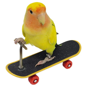 2pcs Parrot Finger Skateboards Set Interactive Mini Scooter for Pets