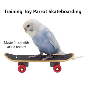 2pcs Parrot Finger Skateboards Set Interactive Mini Scooter for Pets