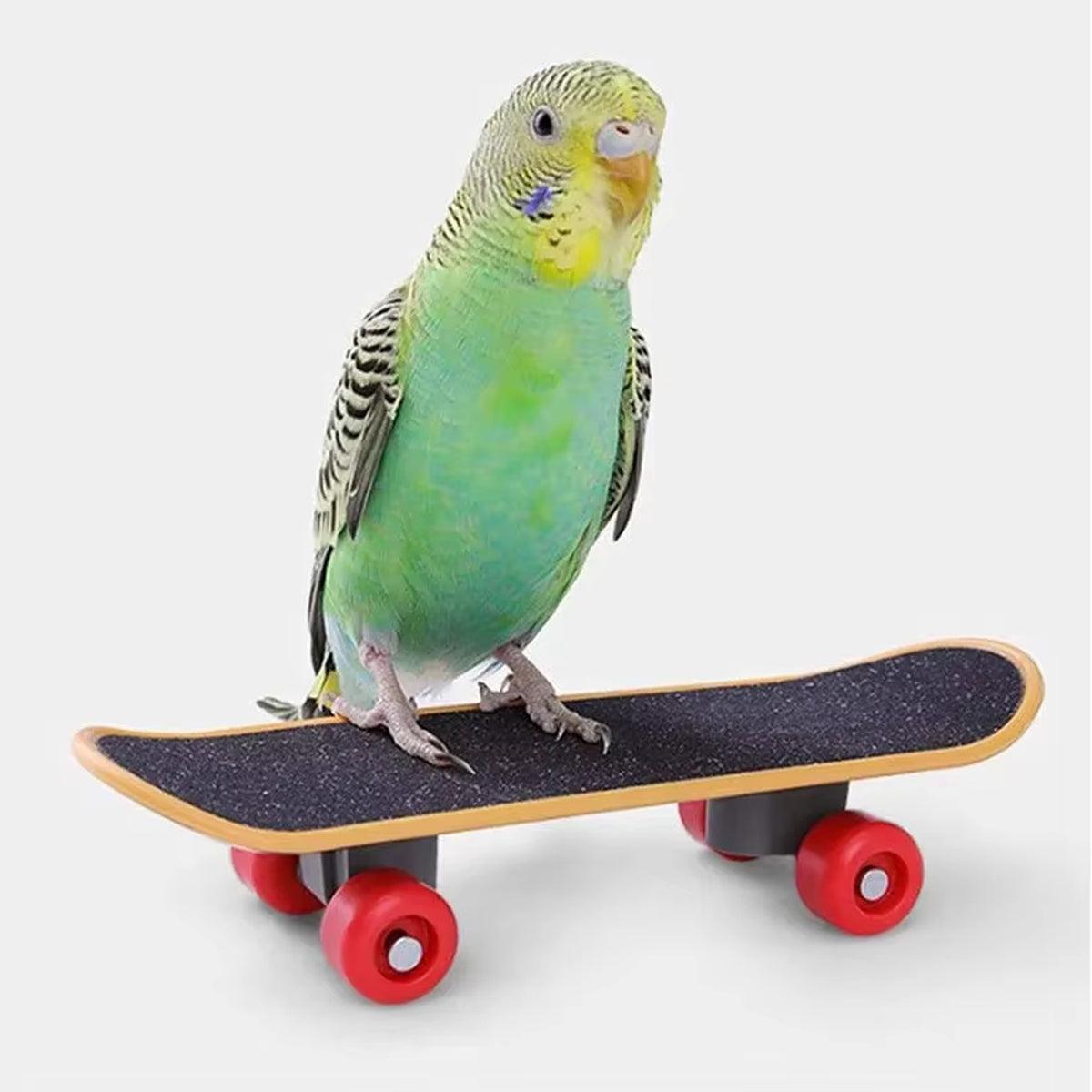 2pcs Parrot Finger Skateboards Set Interactive Mini Scooter for Pets