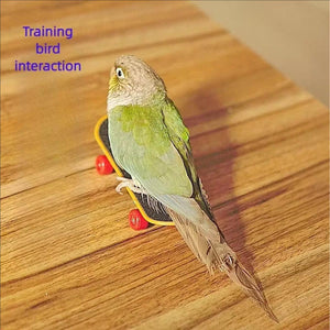 2pcs Parrot Finger Skateboards Set Interactive Mini Scooter for Pets