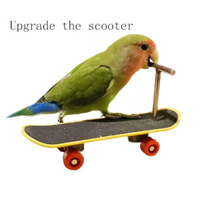 2pcs Parrot Finger Skateboards Set Interactive Mini Scooter for Pets