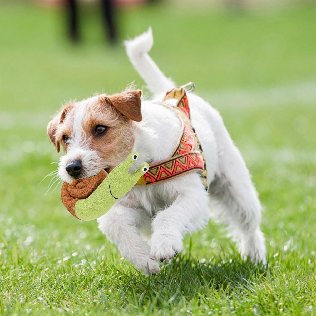 Snuffle Toy Snail for Dogs – IQ Training and Fun Treat Puzzle