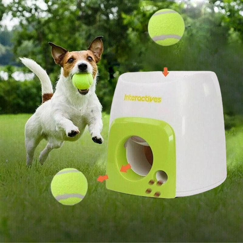 Interactive dog ball launcher with treat dispenser for indoor play and entertainment.