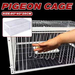 Premium Pigeon Cage with Secure Encrypted Spacing