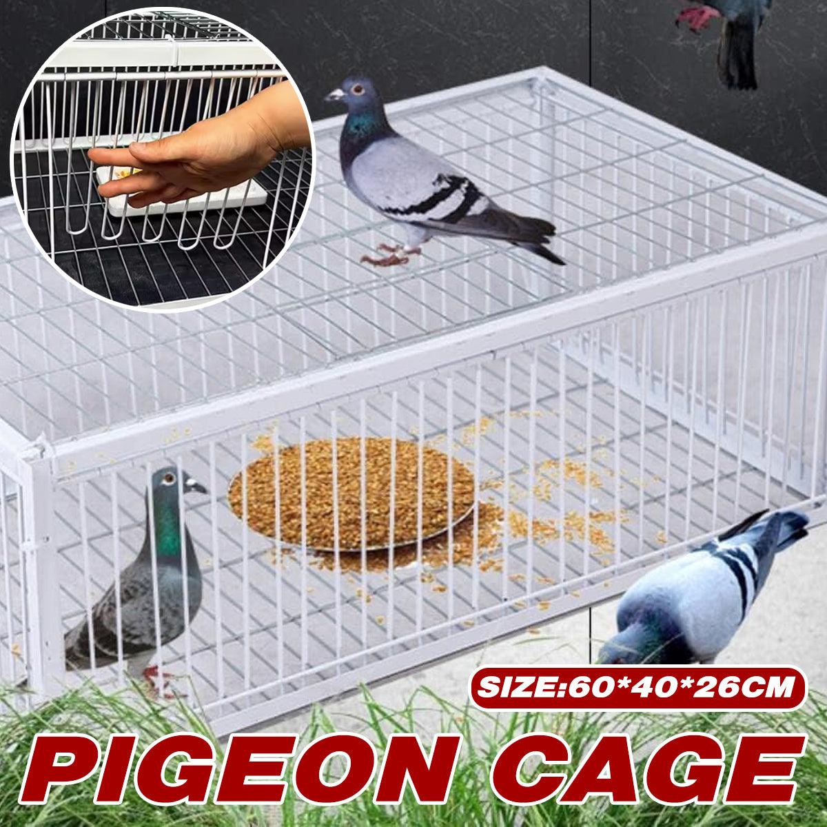 Premium Pigeon Cage with Secure Encrypted Spacing