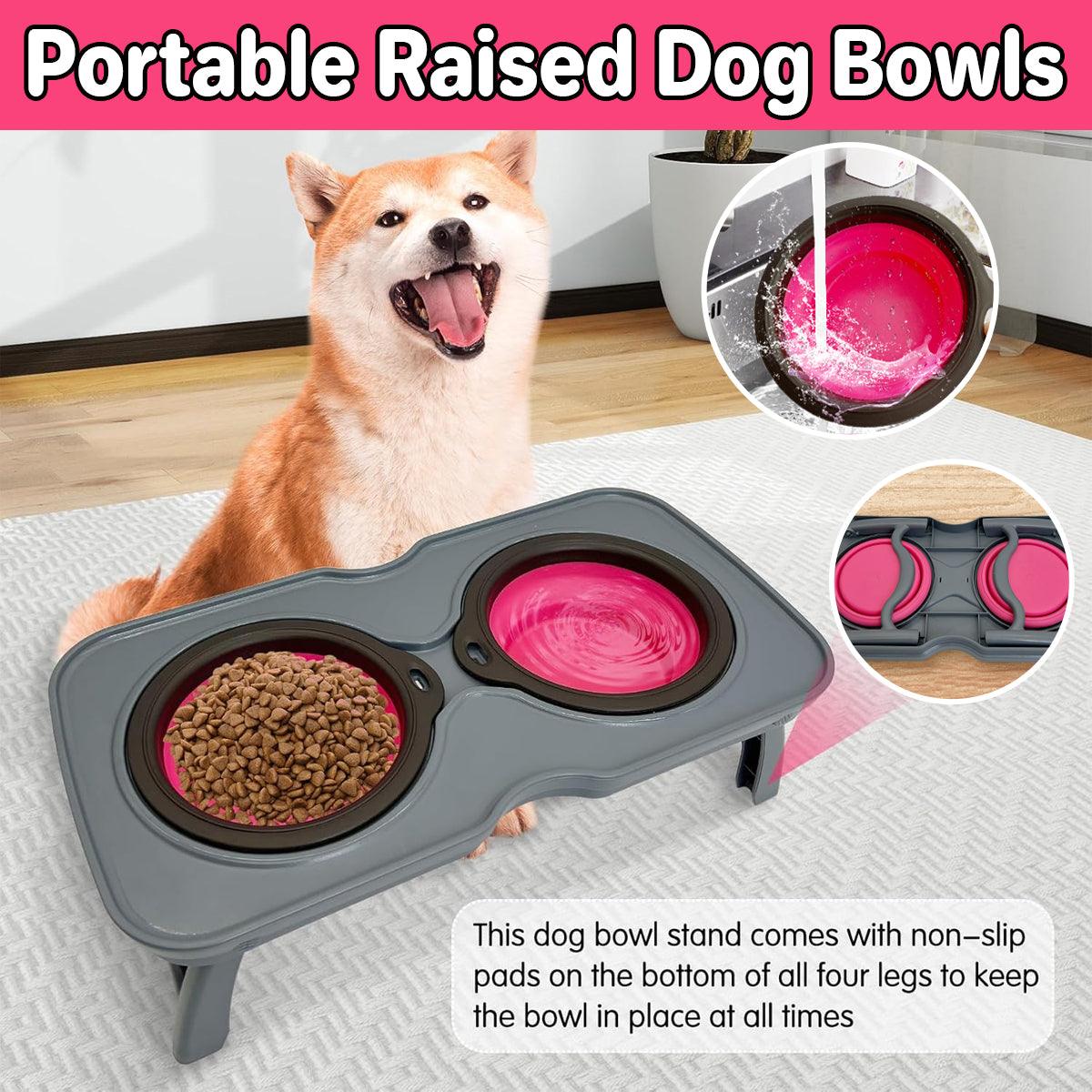 Portable Raised Dog Bowl Collapsible & Non-Slip Pet Feeder