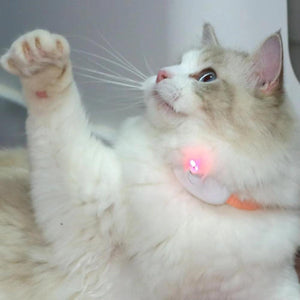 Collar Laser Teaser Interactive Cat Toy Pet Teasing Laser for Fun Play Exercise