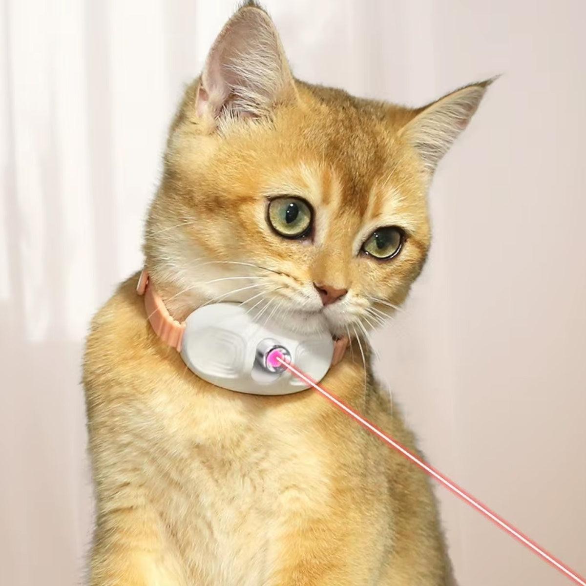 Collar Laser Teaser Interactive Cat Toy Pet Teasing Laser for Fun Play Exercise