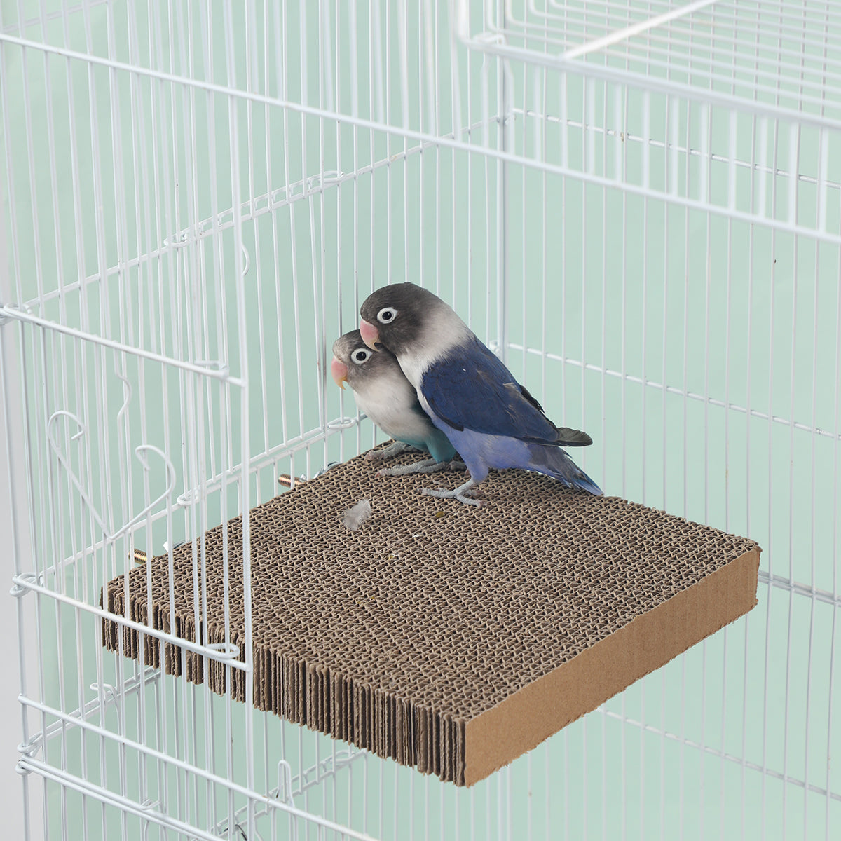 Bird Cage Perch and Chew Toy