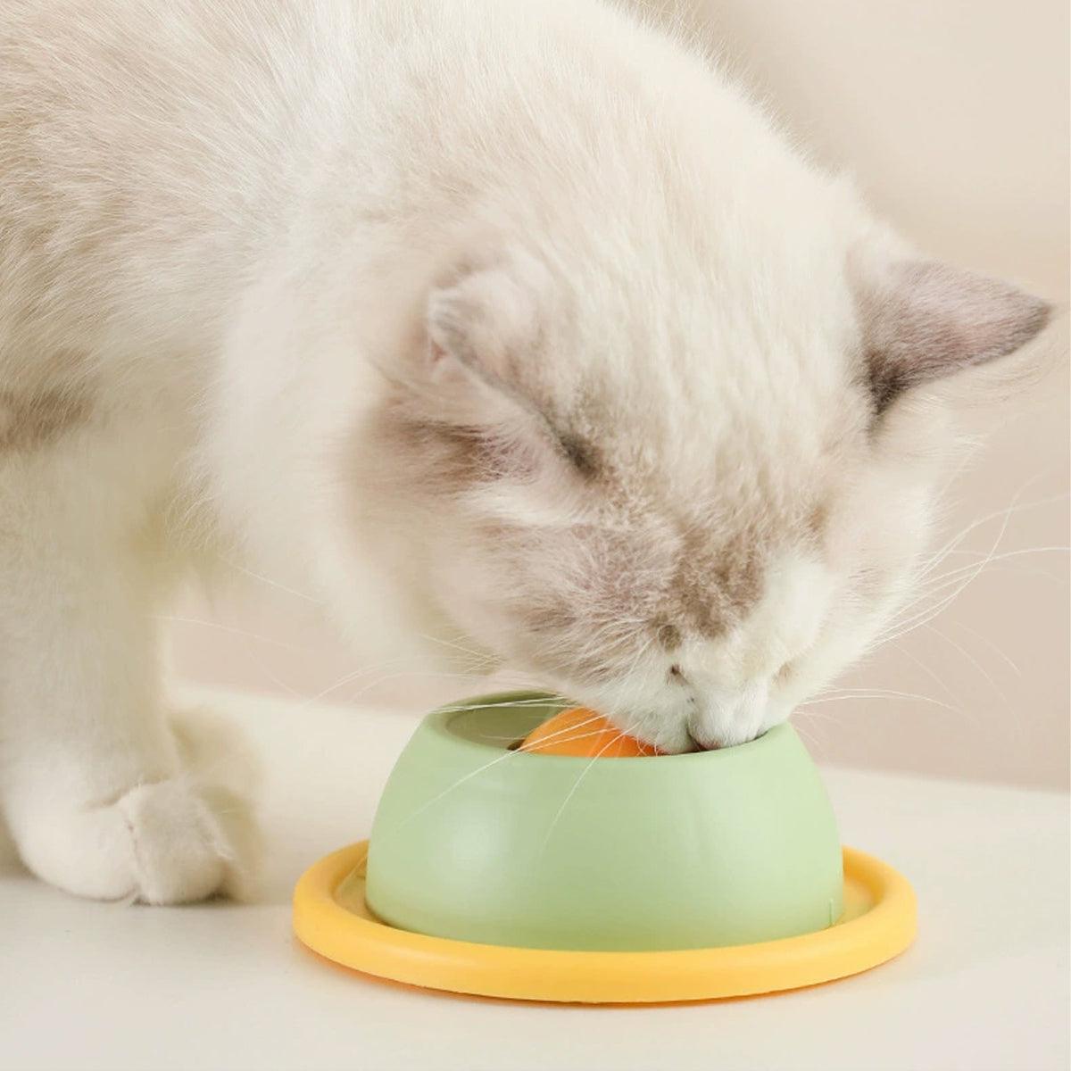 Cat Licking Slow Feeder Plate Anti-Knock & Oral Care Dish