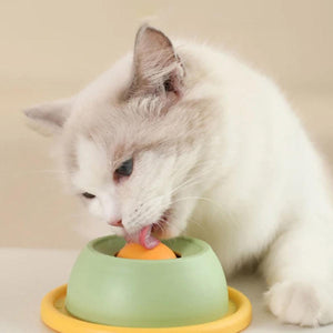 Cat Licking Slow Feeder Plate Anti-Knock & Oral Care Dish