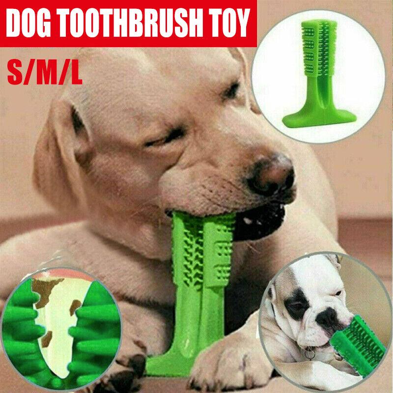 Durable dog chew toy with toothbrush design for effective teeth cleaning