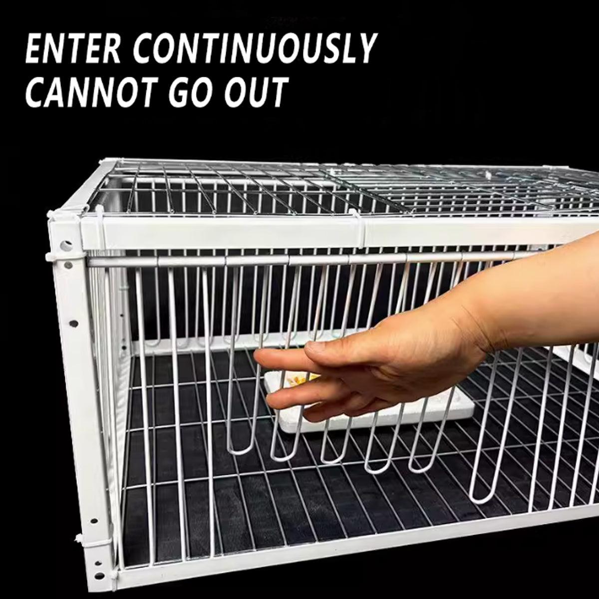 Premium Pigeon Cage with Secure Encrypted Spacing