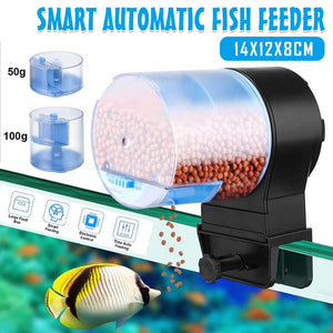 Convenient Aquarium Feeder for Timed and Manual Fish Feeding