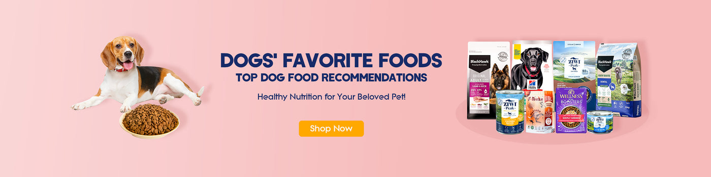 Dogs' Favorite Foods