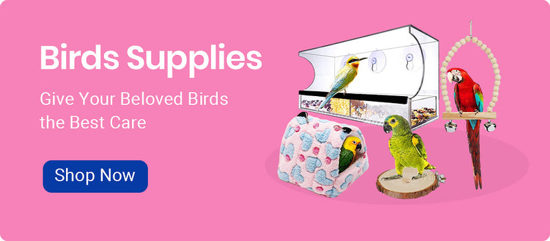 bird-supplies