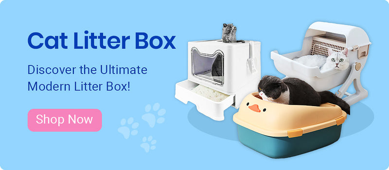 cat-litter-box