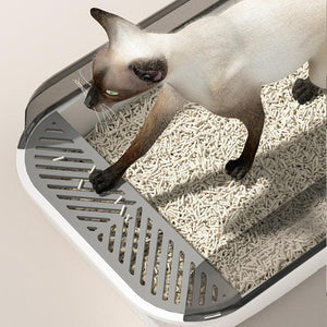 Cat Litter Box + Foldable Double-Layer Cat Litter Mat