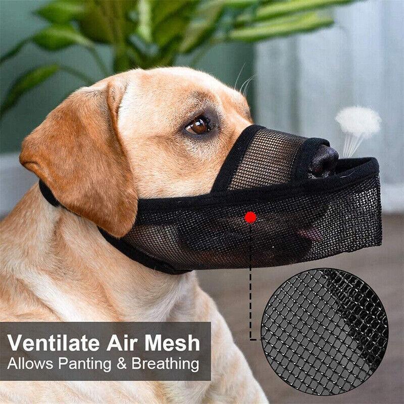 Comfortable and Secure Dog Muzzle for Anti-Barking and Biting