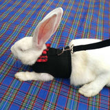 Mesh Rabbit Vest Harness and Leash Set Grey
