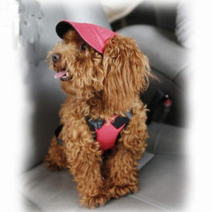 Dog Baseball Cap Outdoor Pet Sun Hat Summer Canvas Visor Puppy S-XL