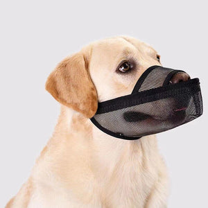 Comfortable and Secure Dog Muzzles for Long-Nosed Breeds