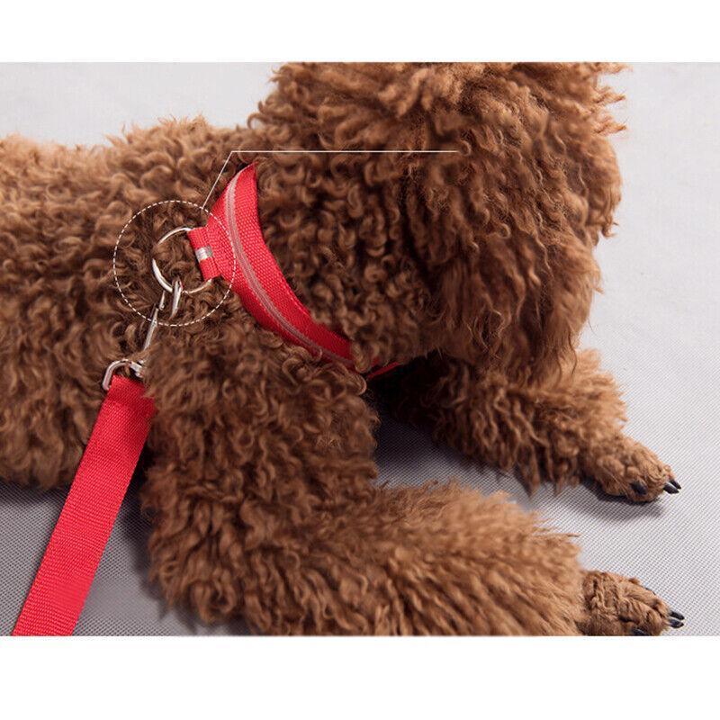 USB Rechargeable LED Dog Collar Nylon Glow Flashing Light Up Safety Pet Collars