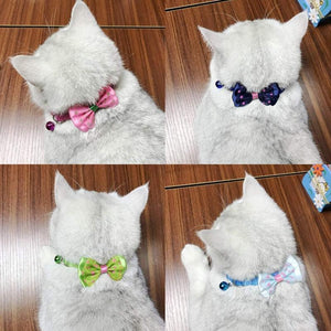 Bow Tie Pet Collar With Bell Designer Dog Collars 8 Colours