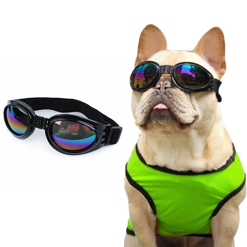 Protection Pet Dog Goggles