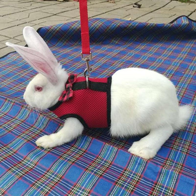 Mesh Rabbit Vest Harness and Leash Set Grey