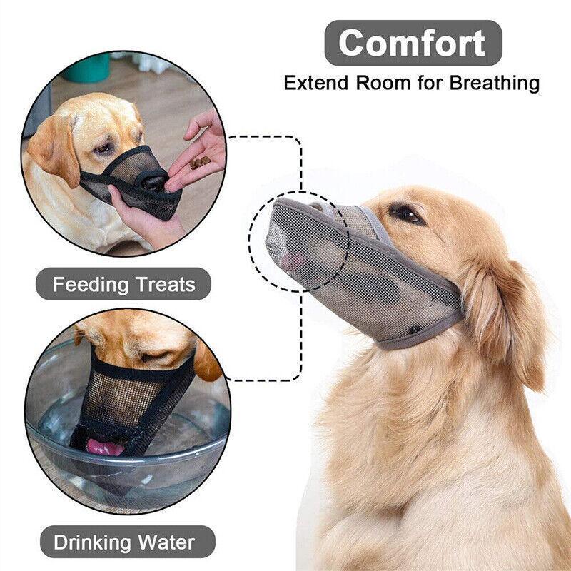 Comfortable and Secure Dog Muzzles for Long-Nosed Breeds