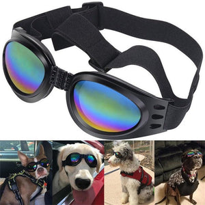 Protection Pet Dog Goggles