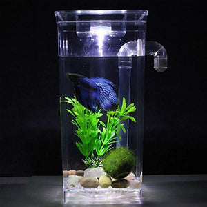 Small Fish Tank Self Cleaning Aquarium