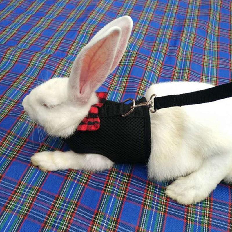 Mesh Rabbit Vest Harness and Leash Set Red