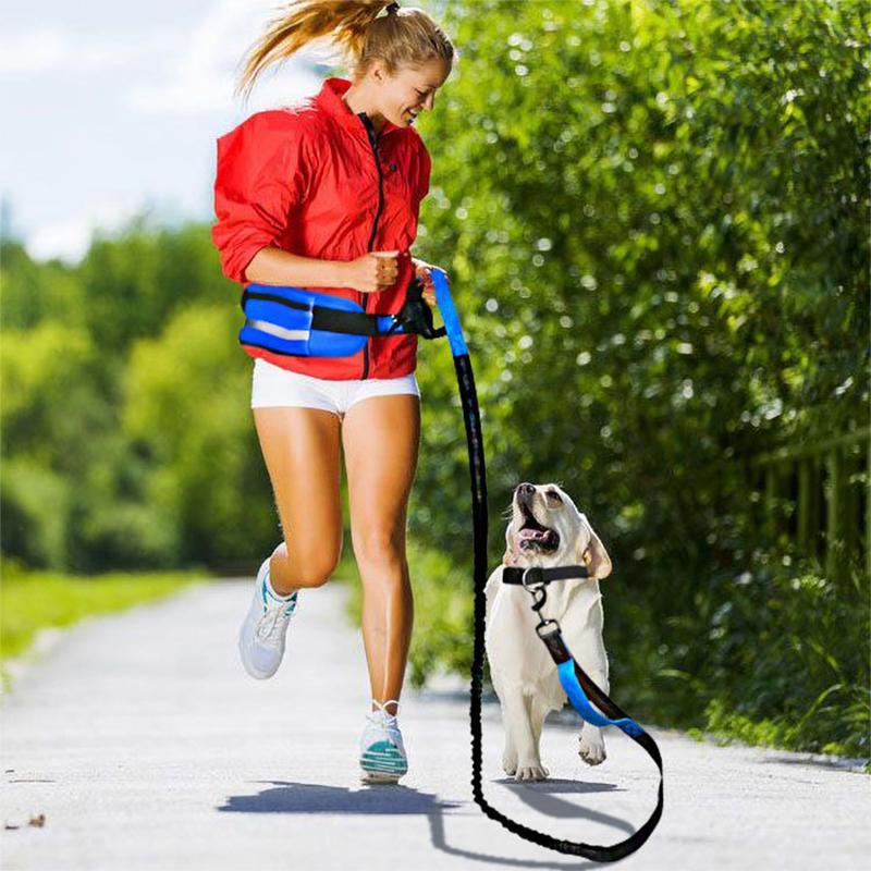 Dog Leash Lead With Waist Bag 4 Colours