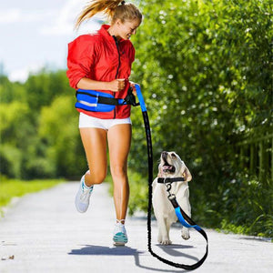 High-quality elastic dog leash with waist bag for hands-free dog walking