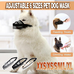 Dog Muzzles and Mouth Guards